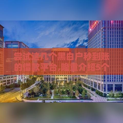 尝试这几个黑白户秒到账的借款平台,隆重介绍5个双黑户口子2025