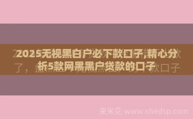 2025无视黑白户必下款口子,精心分析5款网黑黑户贷款的口子