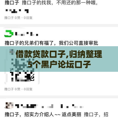 借款贷款口子,归纳整理5个黑户论坛口子