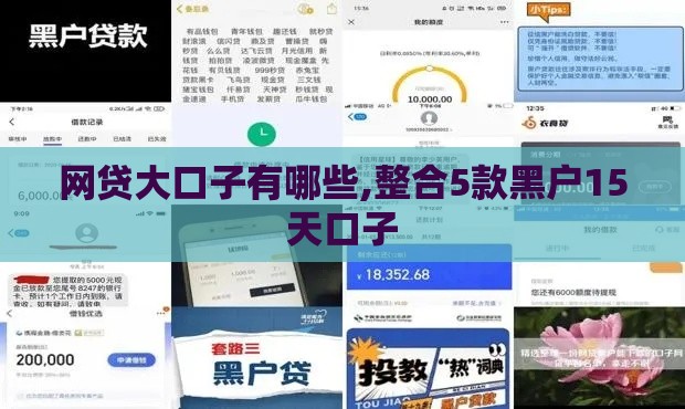 网贷大口子有哪些,整合5款黑户15天口子