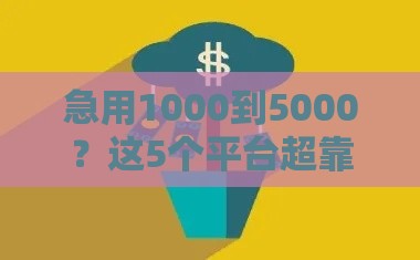 急用1000到5000？这5个平台超靠谱，借款必看！
