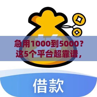 急用1000到5000？这5个平台超靠谱，借款必看！