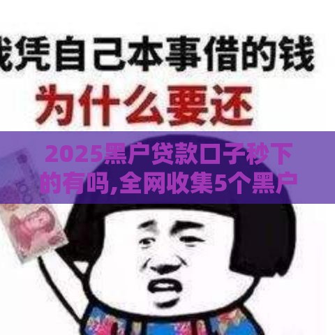 2025黑户贷款口子秒下的有吗,全网收集5个黑户放款的正规口子