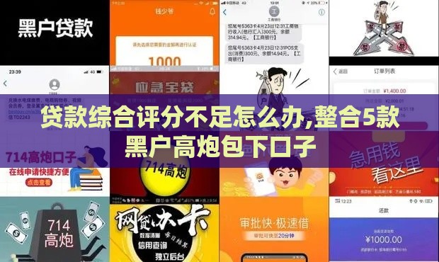 贷款综合评分不足怎么办,整合5款黑户高炮包下口子