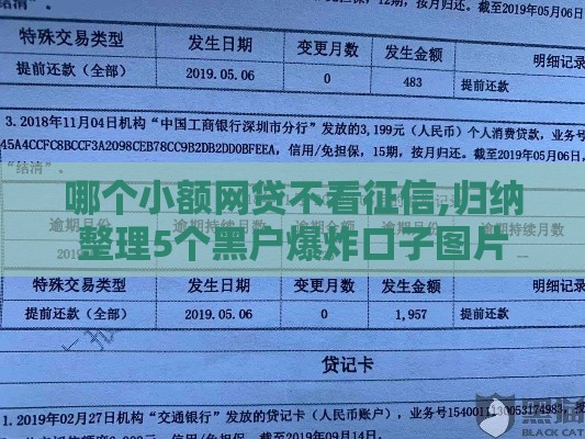 哪个小额网贷不看征信,归纳整理5个黑户爆炸口子图片