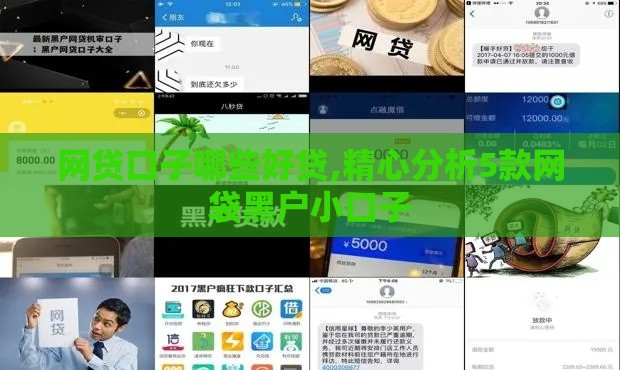 网贷口子哪些好贷,精心分析5款网袋黑户小口子