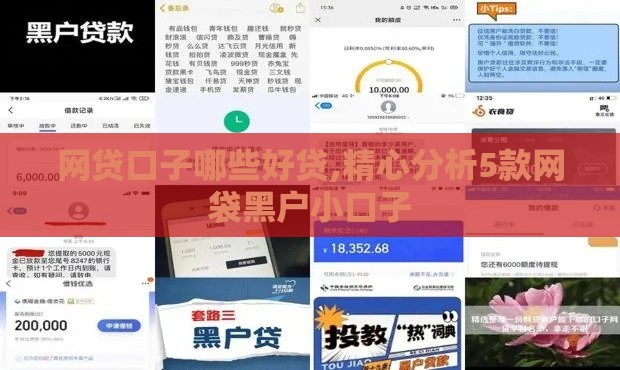 网贷口子哪些好贷,精心分析5款网袋黑户小口子
