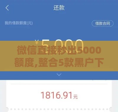 微信直接秒出5000额度,整合5款黑户下款高炮口子