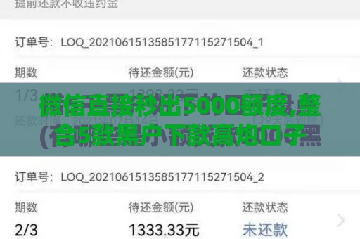 微信直接秒出5000额度,整合5款黑户下款高炮口子
