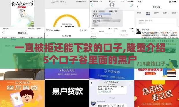 一直被拒还能下款的口子,隆重介绍5个口子谷里面的黑户