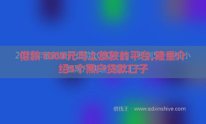 借款1000元马上放款的平台,隆重介绍5个黑户贷款口子