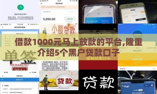 借款1000元马上放款的平台,隆重介绍5个黑户贷款口子