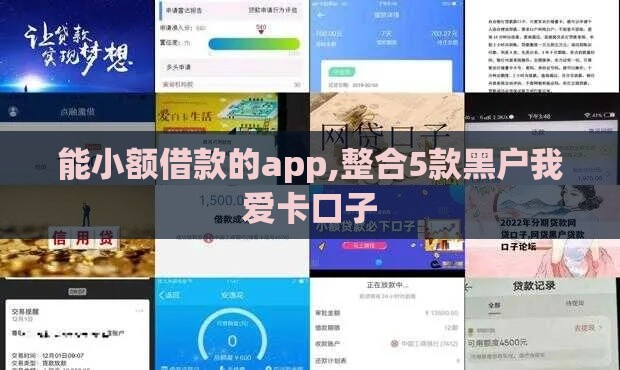 能小额借款的app,整合5款黑户我爱卡口子