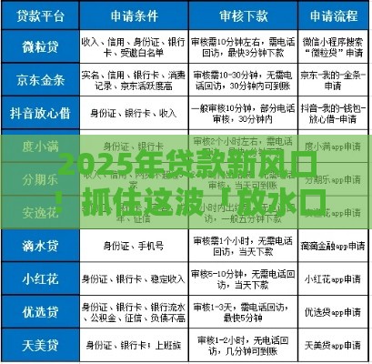 2025年贷款新风口!抓住这波「放水口子」必看攻略 2025年贷款新风口!抓住这波「放水口子」必看攻略