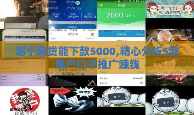 哪个网贷能下款5000,精心分析5款黑户口子推广赚钱