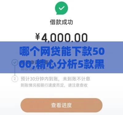 哪个网贷能下款5000,精心分析5款黑户口子推广赚钱
