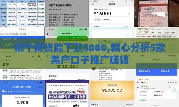 哪个网贷能下款5000,精心分析5款黑户口子推广赚钱