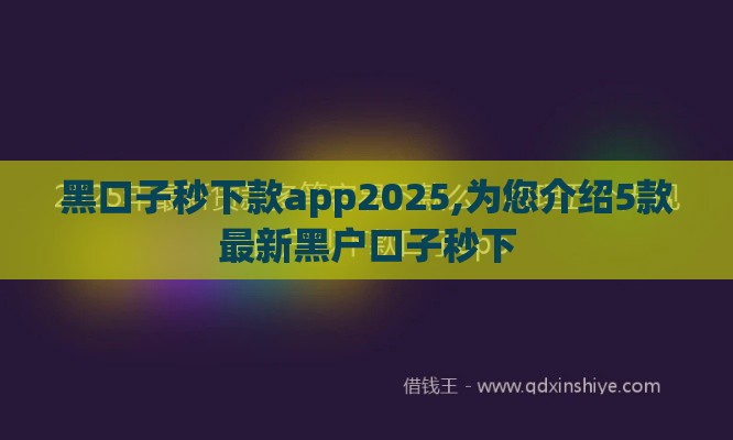 黑口子秒下款app2025,为您介绍5款最新黑户口子秒下
