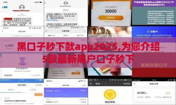 黑口子秒下款app2025,为您介绍5款最新黑户口子秒下