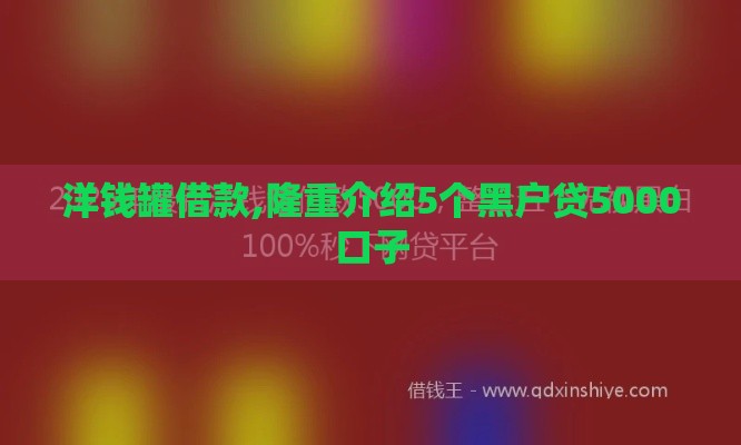 洋钱罐借款,隆重介绍5个黑户贷5000口子