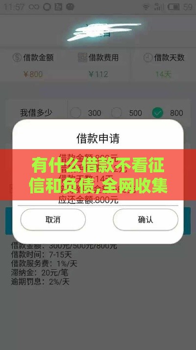 有什么借款不看征信和负债,全网收集5个漳浦黑户口子贴吧