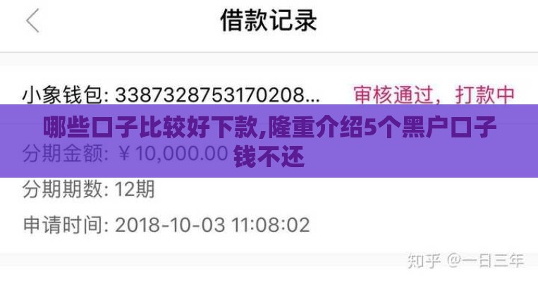 哪些口子比较好下款,隆重介绍5个黑户口子钱不还