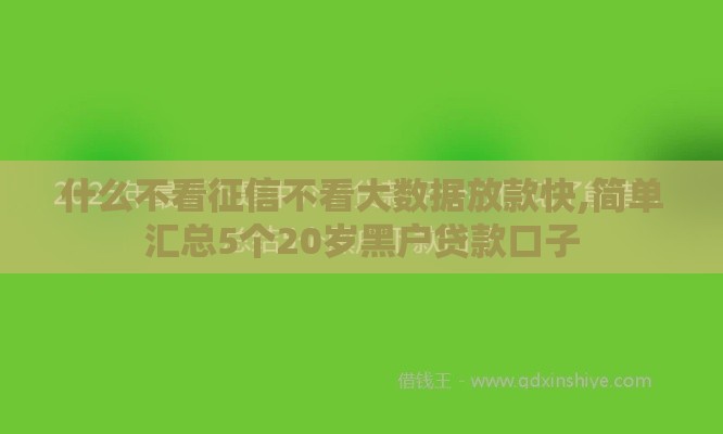 什么不看征信不看大数据放款快,简单汇总5个20岁黑户贷款口子