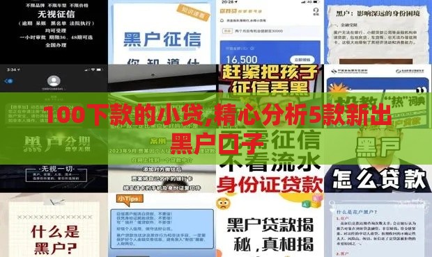 100下款的小贷,精心分析5款新出黑户口子