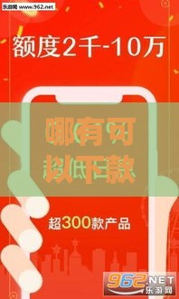 哪有可以下款的口子,隆重介绍5个下款的黑户口子