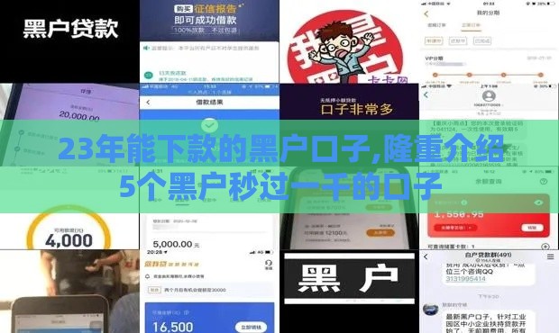 23年能下款的黑户口子,隆重介绍5个黑户秒过一千的口子