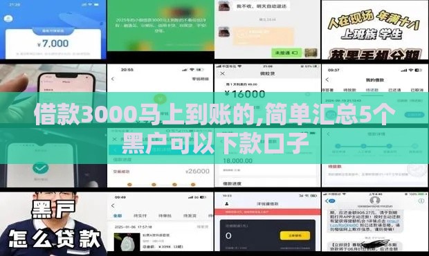 借款3000马上到账的,简单汇总5个黑户可以下款口子