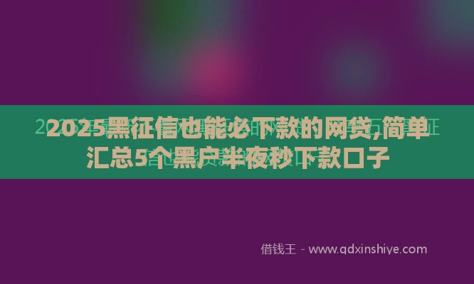 2025黑征信也能必下款的网贷,简单汇总5个黑户半夜秒下款口子