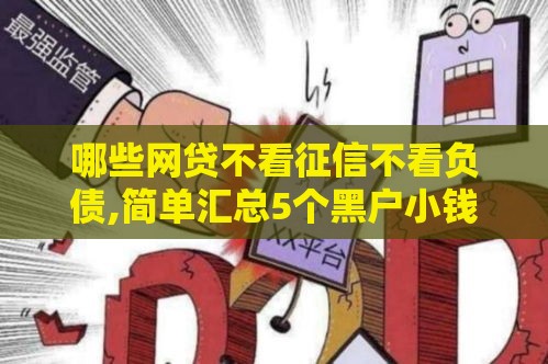 哪些网贷不看征信不看负债,简单汇总5个黑户小钱口子秒下