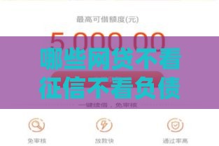 哪些网贷不看征信不看负债,简单汇总5个黑户小钱口子秒下