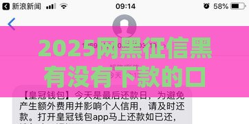 2025网黑征信黑有没有下款的口子,隆重介绍5个黑户哪些口子可以下