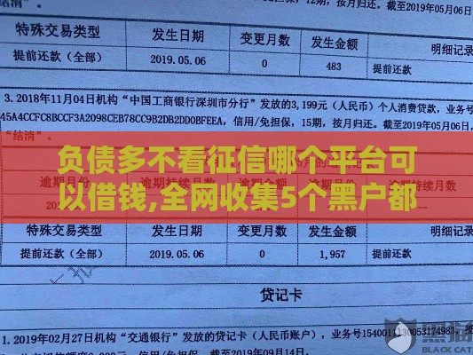 负债多不看征信哪个平台可以借钱,全网收集5个黑户都有哪些口子啊