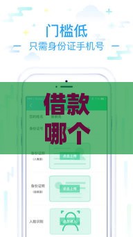借款哪个不看征信,整合5款黑户一手口子