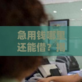 急用钱哪里还能借？揭秘合法高息借款渠道