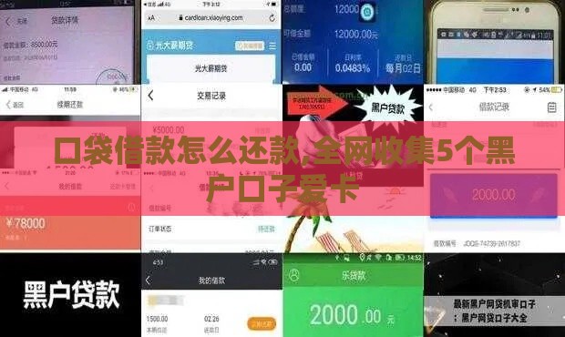 口袋借款怎么还款,全网收集5个黑户口子爱卡