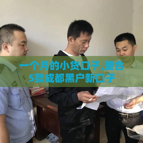 一个月的小贷口子,整合5款成都黑户新口子