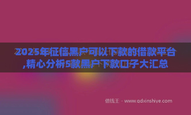 2025年征信黑户可以下款的借款平台,精心分析5款黑户下款口子大汇总