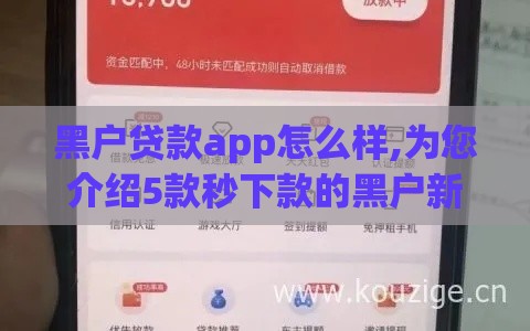 黑户贷款app怎么样,为您介绍5款秒下款的黑户新口子