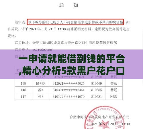 一申请就能借到钱的平台,精心分析5款黑户花户口子大全