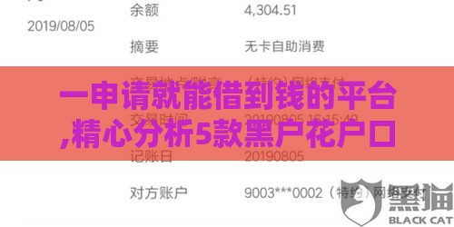 一申请就能借到钱的平台,精心分析5款黑户花户口子大全