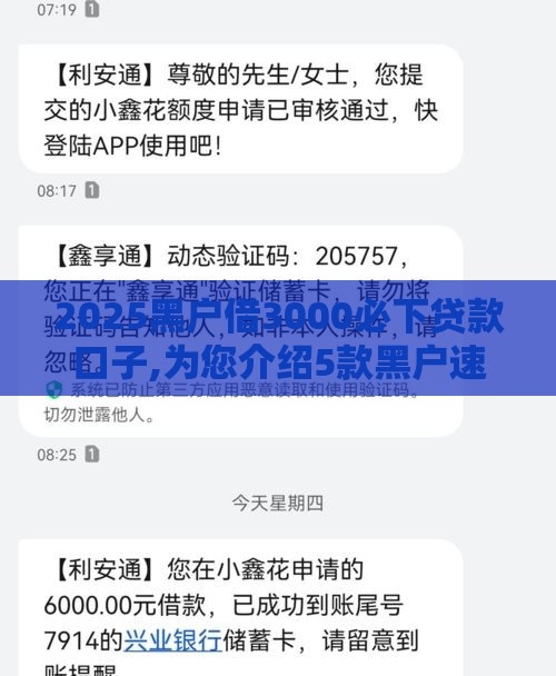 2025黑户借3000必下贷款口子,为您介绍5款黑户速度下款小口子