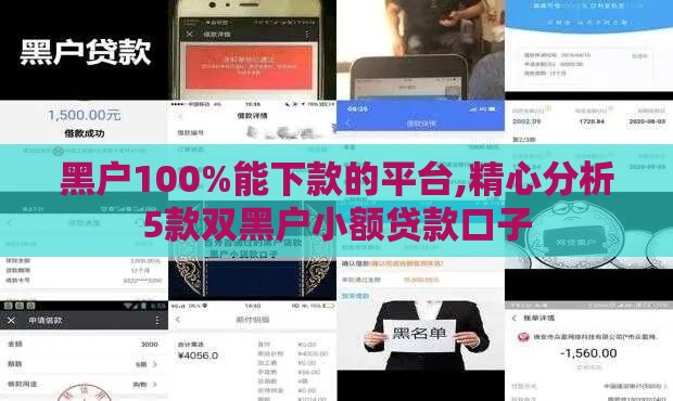 黑户100%能下款的平台,精心分析5款双黑户小额贷款口子 黑户100%能下款的平台,精心分析5款双黑户小额贷款口子