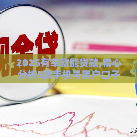 2025有车就能贷款,精心分析5款手机号黑户口子