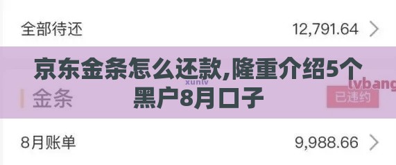 京东金条怎么还款,隆重介绍5个黑户8月口子