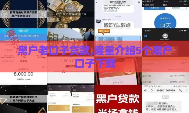 黑户老口子贷款,隆重介绍5个黑户口子下载
