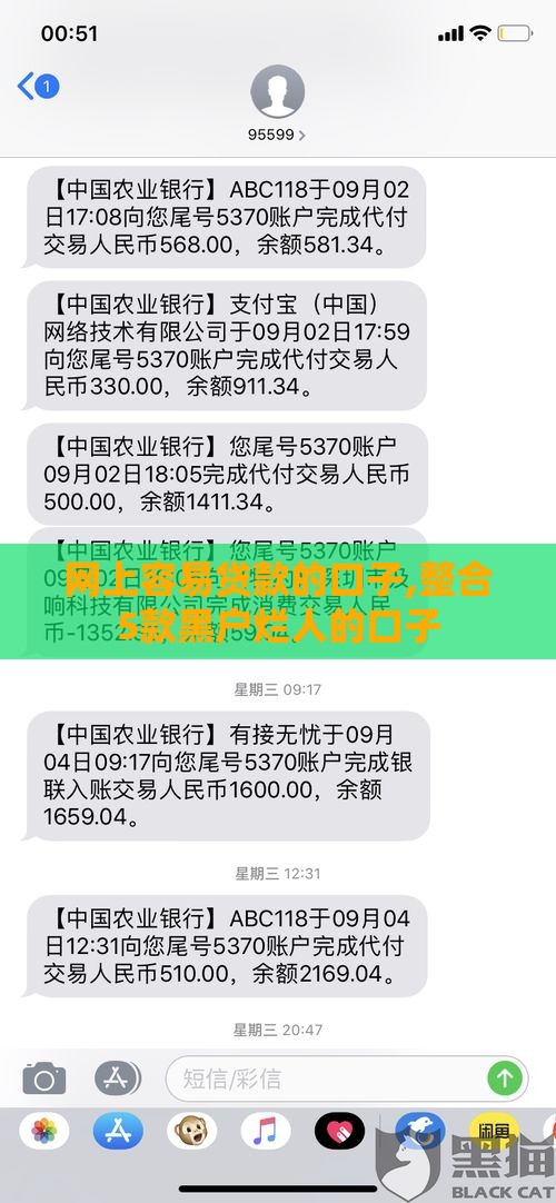 网上容易贷款的口子,整合5款黑户烂人的口子